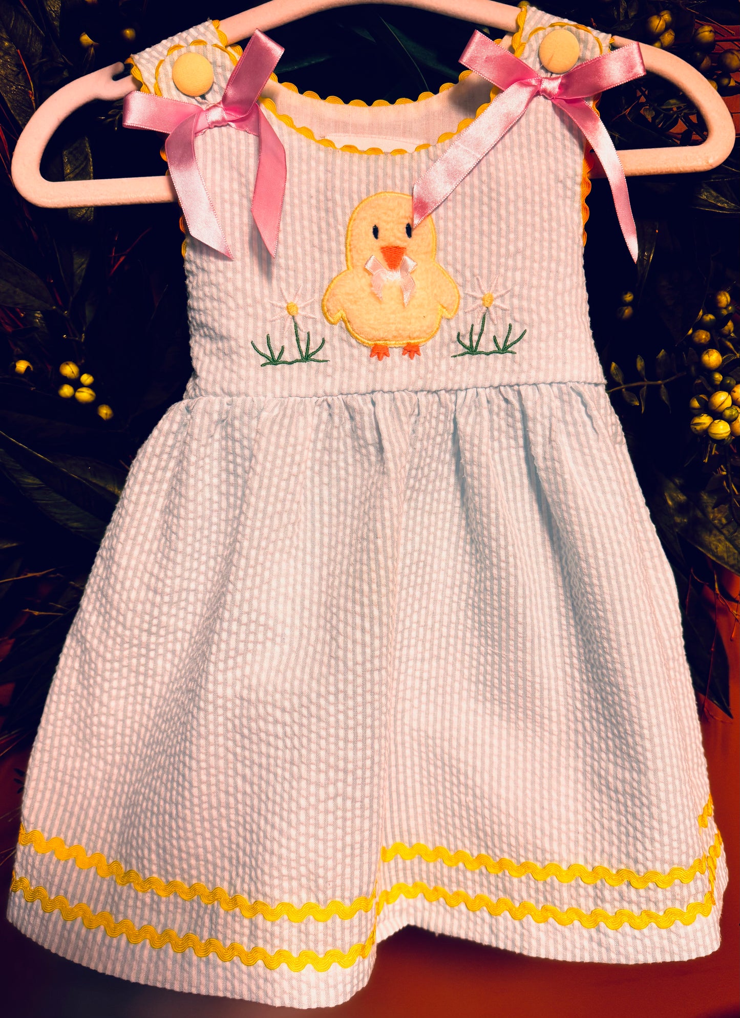 Fuzzy Chick and Flowers seersucker Jumper/Dress 12-24M