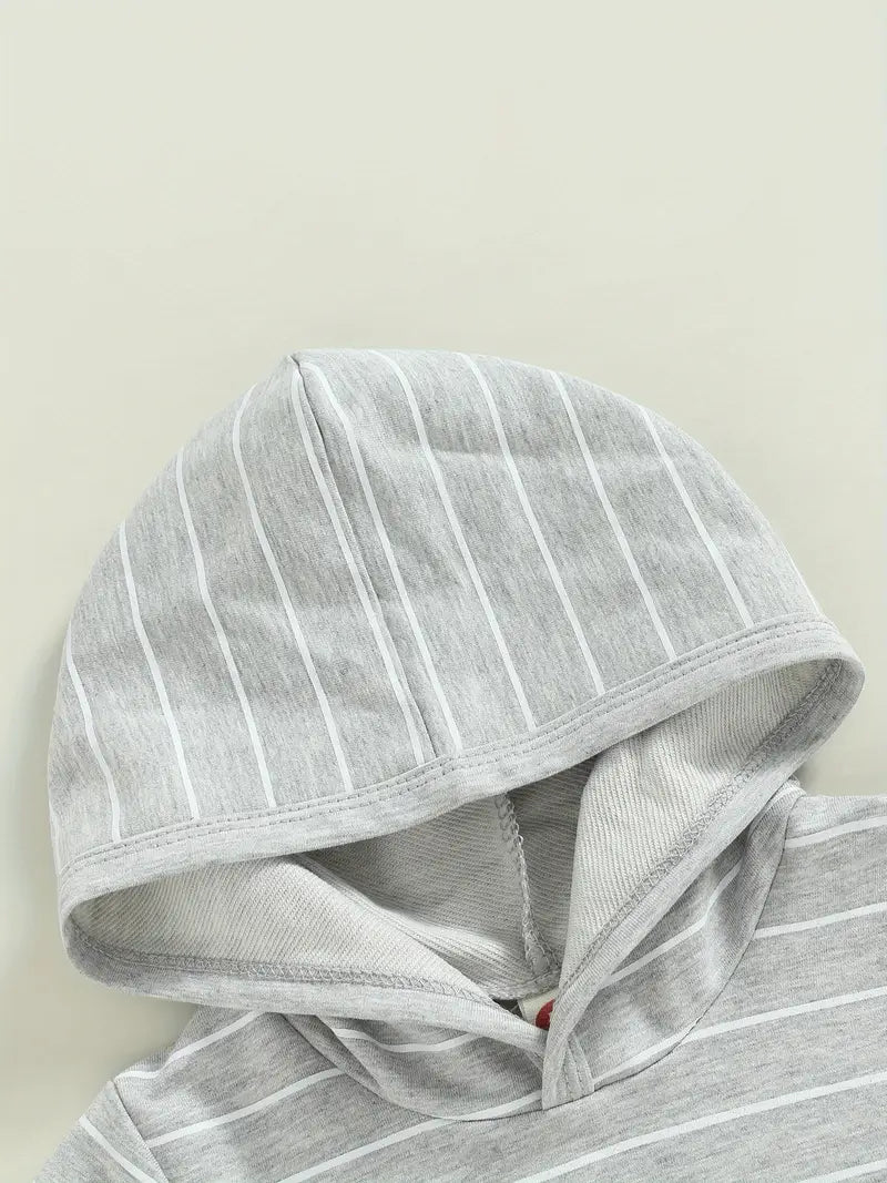 Baby Boys Hooded Sweatshirt and Short Set 6M